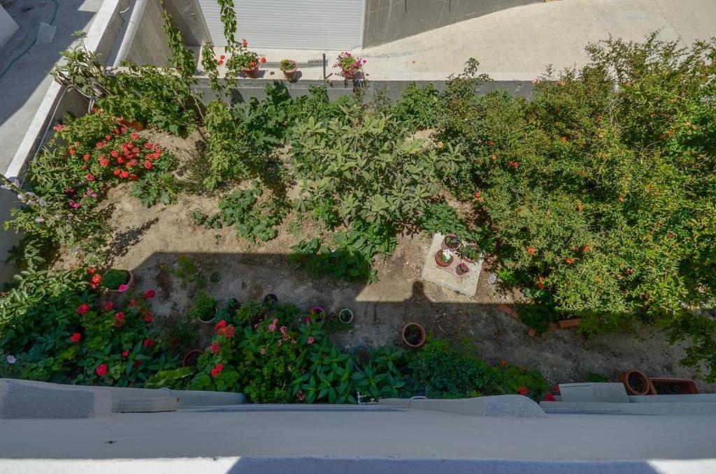 Margaritis Apartments Agia Anna  Room photo